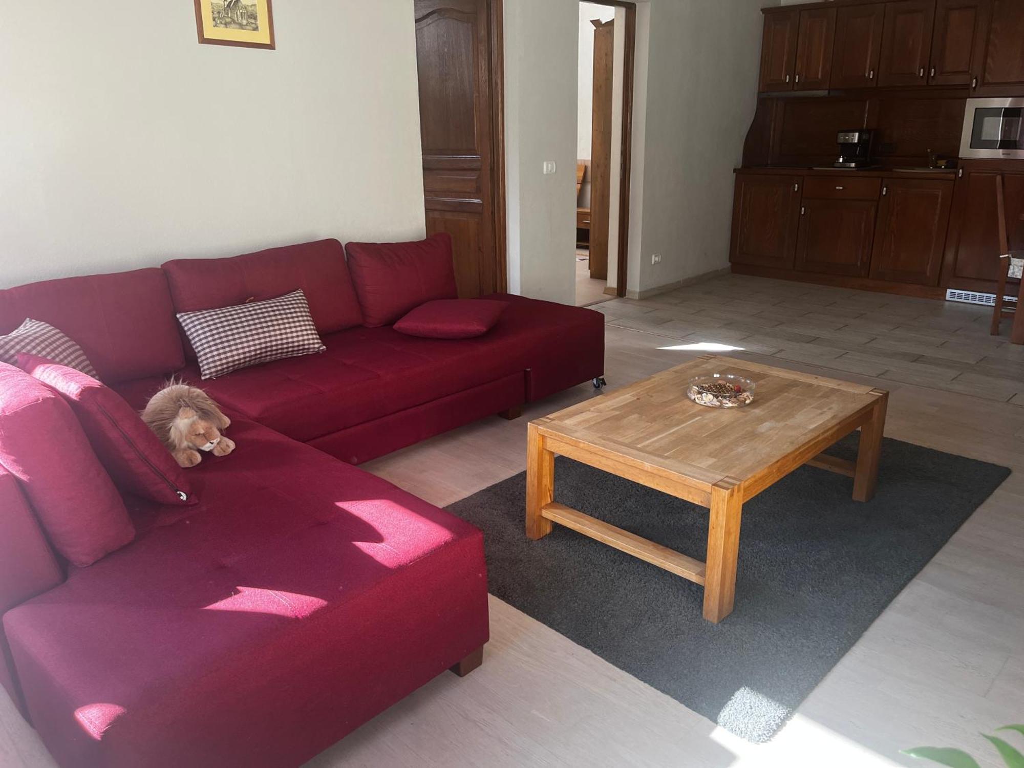 Cozy Apartment Braşov Esterno foto